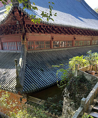 ��̨�����£�û������ζֻ�����ζ