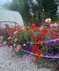 2023μǡŽ㣬ӪһƬƻƵ