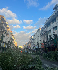 ����ľ��ͷ�ķ�ʽ������