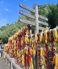 �����ֿ�ɹ����ӵĹŴ�������һ����ɫ�ʰ�쵵����ջ���