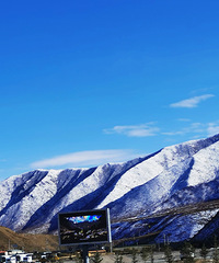 ���ϰ�����֮����ʯͷ�Ǳ�����Ҷ��