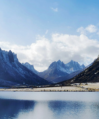 ���ϰ�����֮����ʯͷ�Ǳ�����Ҷ��