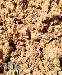 �ܶ��˽��Ұ�ެ������ȥ���⣬������ǰ�Թ���