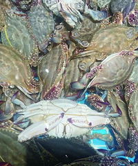 �۸���ն�����ܶ�̨���˵���ͷ�ã�����˵�ʱ���ˣ�