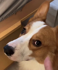 ���ó��ųԷ���ʱ�䲻������Ȼ��Ҫ��Ǯ��Կ����