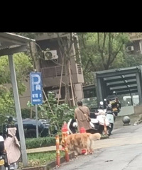 ��һ�����㽭��������һ�ܺ󣬲���������������100%���ѵ���