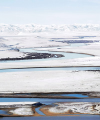 ���ϰ�����֮���������ƺӵ�һ���뻨��