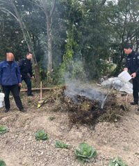 ����4�˱����������ǧ�����