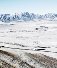 ���ϰ�����֮���������ƺӵ�һ���뻨��