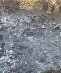 ̨���ʻ���㣬���Ρ��Ϻ����˲���