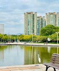 ����㳡��һȦ������һ�����еı仯