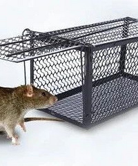 ���ڿ�չ2023���＾������ͨ��