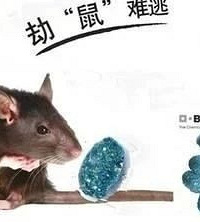 ���ڿ�չ2023���＾������ͨ��