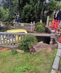 С��������������������չ�˾Ҫ��ô����