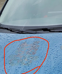 ˮ����ϲ����ôȥ��������˵�������������Կ�����