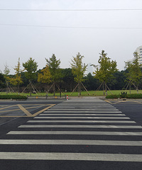 ���м�������ĳ��н�ͨ���