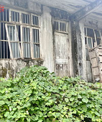 [����ر��˵��]С��ķ�չ--�Ҹ���׷��