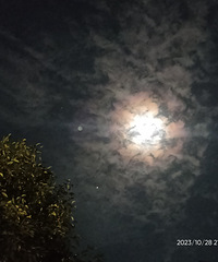 ���۸��᡿ÿ����ʱ�޿̶������飬��Ǯ׬��