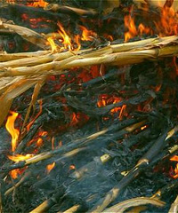 ���ּ�����̨�ϳ���ܶ࣬����Ϊ��ֹ���սոѵ�ԭ����