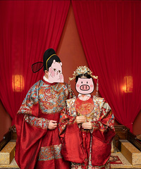 ������Ӱ 6000Ԫ