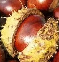 �ж���̨���˰��Ե��������С��߷¡���