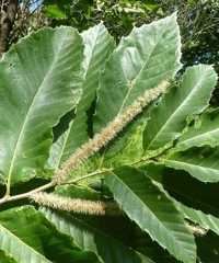 �ж���̨���˰��Ե��������С��߷¡���