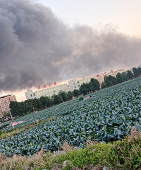 ͻ����̨��һ�������Ũ�̹���