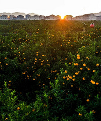 ��������Դ���ң�