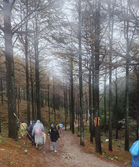 ��������ɽ:ʮ�ֿ�~ˮ����~��������ﻷ��