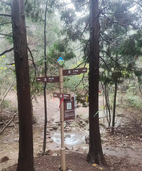 ��������ɽ:ʮ�ֿ�~ˮ����~��������ﻷ��