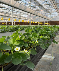 ��100Ԫ/�����Ȼ���У����ѿ�������ô����̨�ݵ������