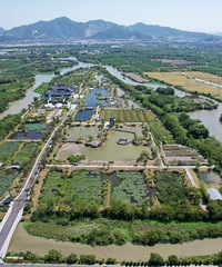 �ô�һ��������λ����̨���м�������ҳ���ʪ�ع�԰������ô����