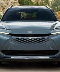 ���Ϊ��ʷ������һ���ͽ�ͣ��