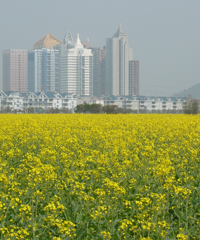 ������ر��˵����+�㽥��Զȥ�ı�Ӱ