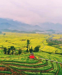 ʡ�����崴�����壬�ɾ���Ҷ������ƾɶ��ѡ��