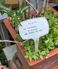 �����Ⱦ��̨�ݻ��߽��������������ò�������ô��