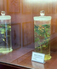 �����Ⱦ��̨�ݻ��߽��������������ò�������ô��