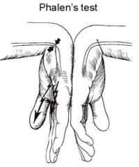 ������ۺ�������Խ��Խ�࣡�����ӻ��²�