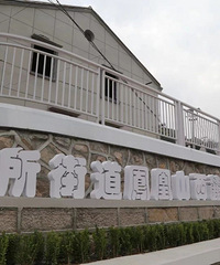 ��δ����塱��ɶ�������������￴��