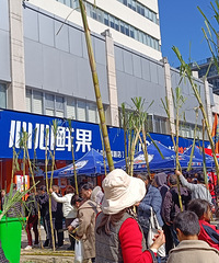 ˮ���꿪ҵ�͸��ᣬԶԶ��ȥ����ǹ��