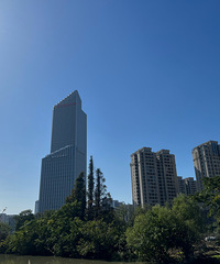 ��ó������ʮ���ɱ�