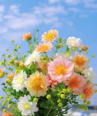 97����Ů���У���ƹ����˼ʹ�ϵ�򵥣�Ѱ��93��173����