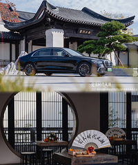 ÷����˹-�������Ǽ��Ÿ߶˳�����������