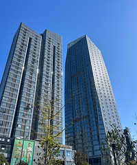 ̨�ݽ�������CBD��˲��ߴ�����