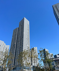 ̨�ݽ�������CBD��˲��ߴ�����