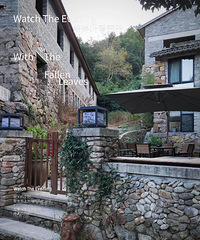 31�꽷��GG�������ӣ�Ѱ��̨���ڵ�Ůʿ