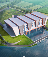 ʡ����ʽ�������漰�ٺ����