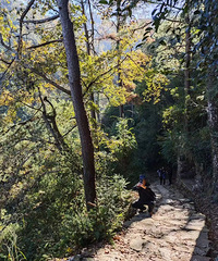 �ϻƹŵ����ﻷ�ߣ�����ͽ�����߹�Լ12����