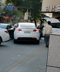 ·����˹������ţ