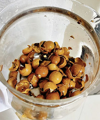 [��ʳ]���紵ʹ��ͷ�����������������